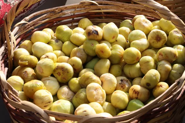 Cesto de mimbre lleno de higos verdes
