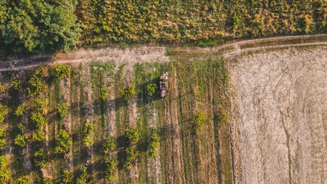Vista aérea de un tractor trabajando en un campo de cultivo