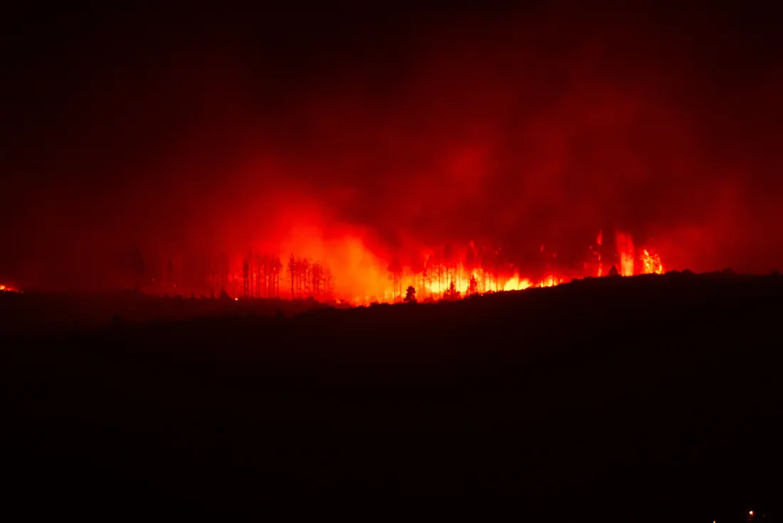 Monte con vegetación seca en una zona de montaña del occidente asturiano