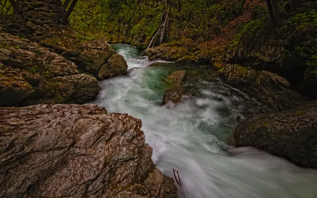 Un río de aguas turquesas fluye entre rocas en un cañón boscoso