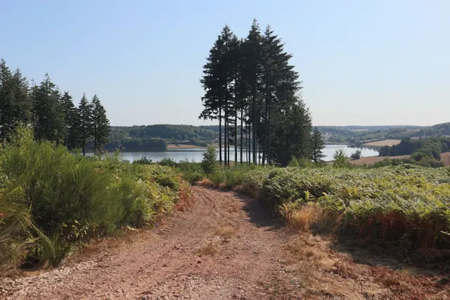 Camino de tierra entre vegetación con vistas a un embalse