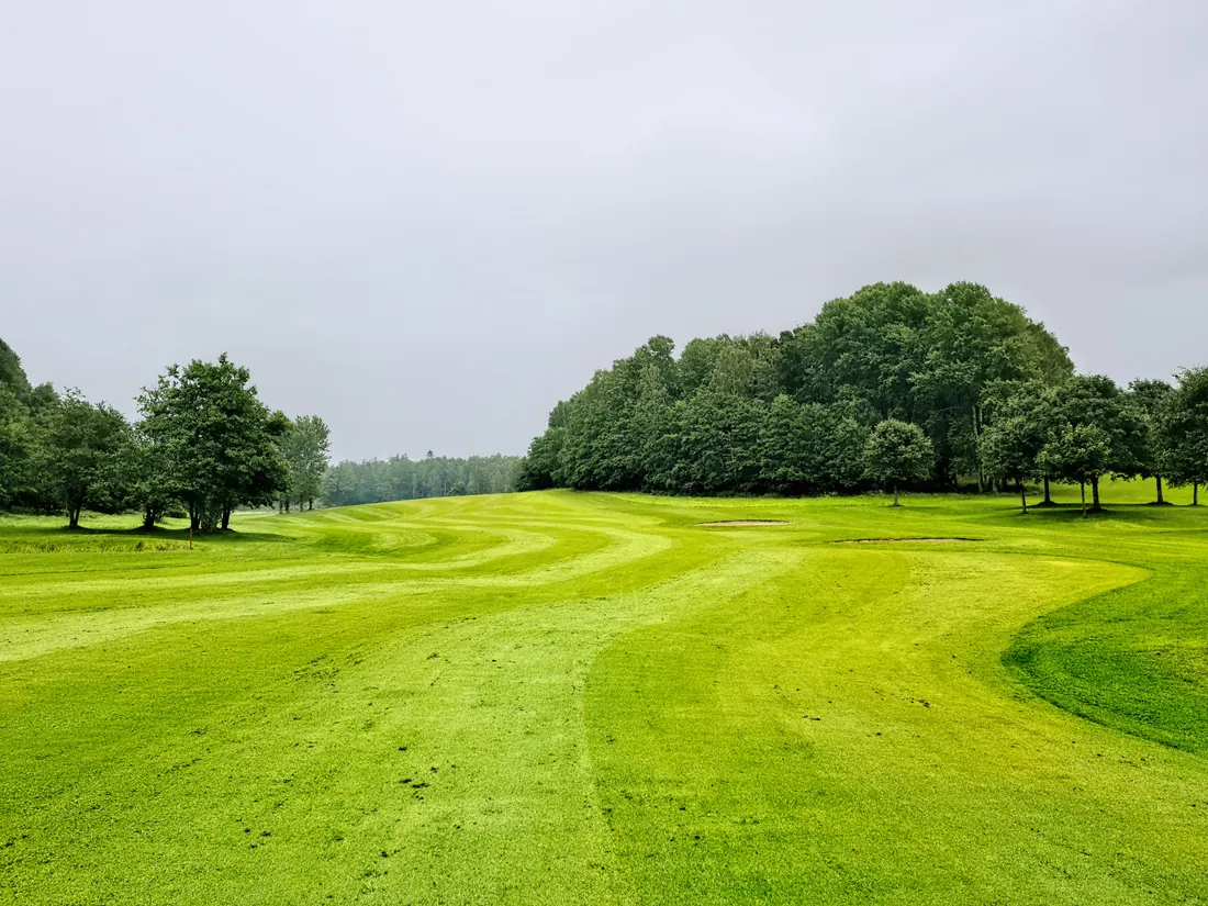 Calle de un campo de golf flanqueada por árboles en un día nublado