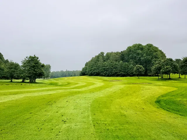 Calle de un campo de golf flanqueada por árboles en un día nublado