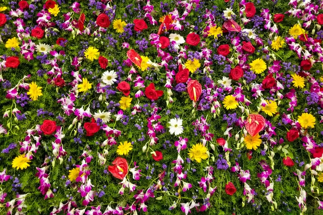 Un muro decorado con un conjunto de flores de colores variados