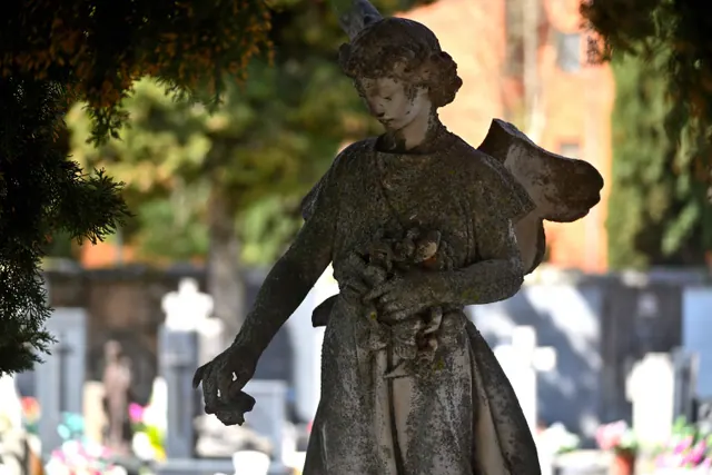 Estatua de un ángel con flores en un cementerio