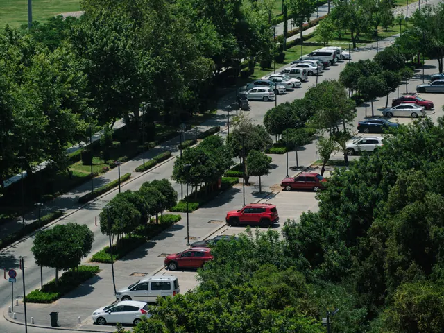 Vista aérea de un aparcamiento arbolado junto a una avenida